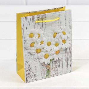 Пакет подарочный