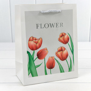 Пакет подарочный    