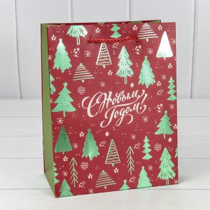 Пакет подарочный     