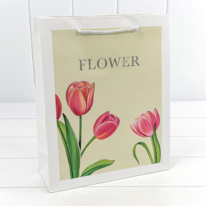 Пакет подарочный       