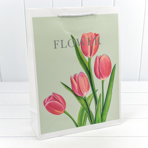 Пакет подарочный         