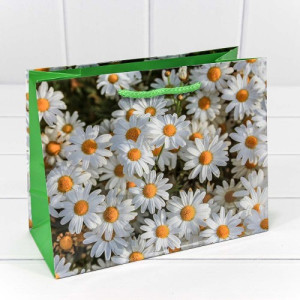 Пакет подарочный 