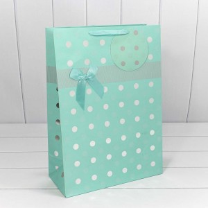 Пакет подарочный