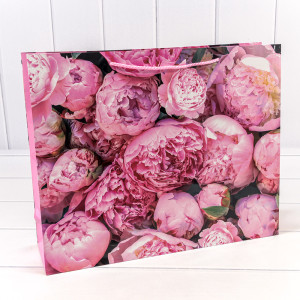 Пакет подарочный