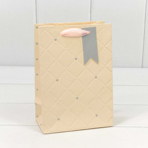 Пакет подарочный