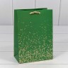 Пакет подарочный Пакет подарочный