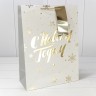 Пакет подарочный Пакет подарочный