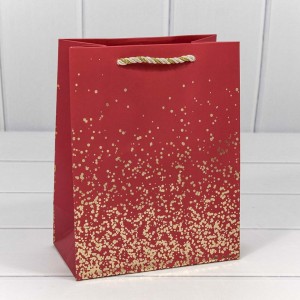 Пакет подарочный