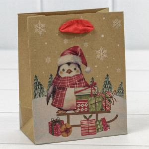 Пакет подарочный   