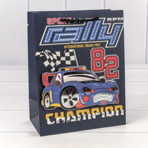 Пакет подарочный  