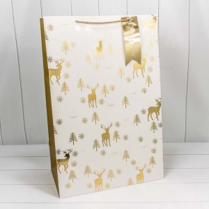 Пакет подарочный