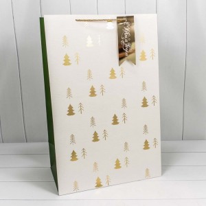 Пакет подарочный