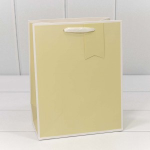 Пакет подарочный 