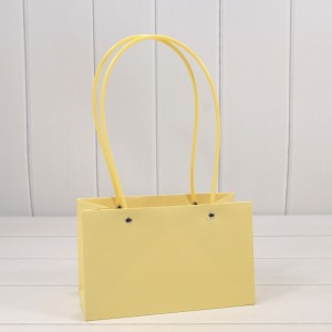 Пакет подарочный    