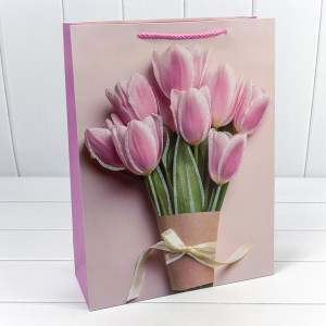 Пакет подарочный  