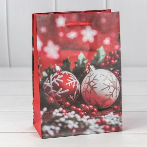 Пакет подарочный  