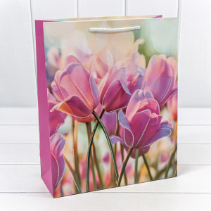 Пакет подарочный  