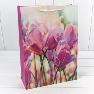 Пакет подарочный  