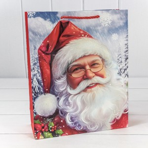 Пакет подарочный    