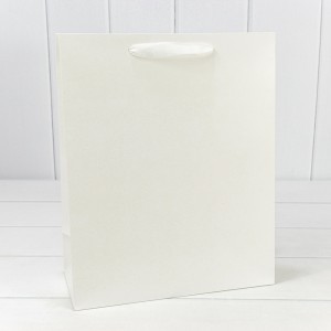 Пакет подарочный  