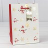 Пакет подарочный Пакет подарочный