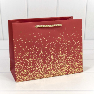 Пакет подарочный 