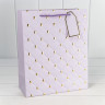 Пакет подарочный Пакет подарочный
