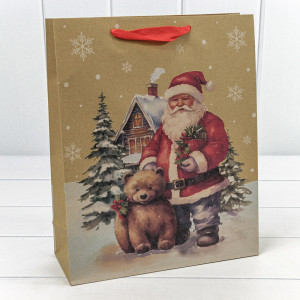 Пакет подарочный     