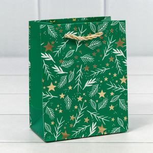 Пакет подарочный 