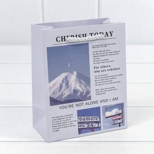 Пакет подарочный 