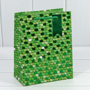 Пакет подарочный    