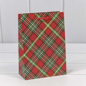 Пакет подарочный 