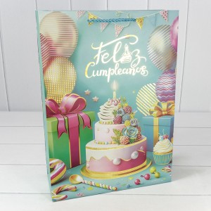 Пакет подарочный