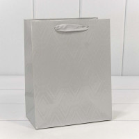 Пакет подарочный   