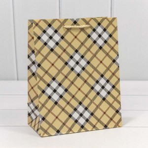 Пакет подарочный