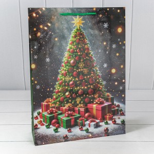 Пакет подарочный    