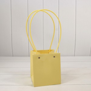 Пакет подарочный   