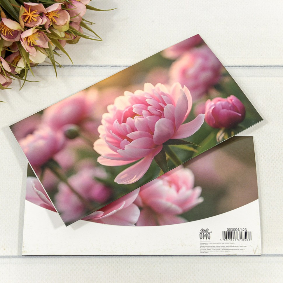 Конверт подарочный Конверт подарочный