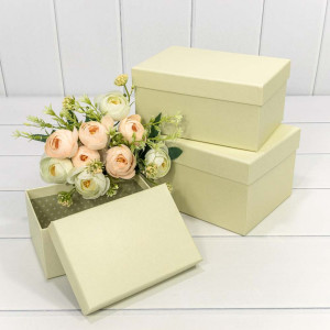 Коробки Прямоугольные Набор 