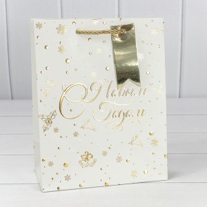 Пакет подарочный  