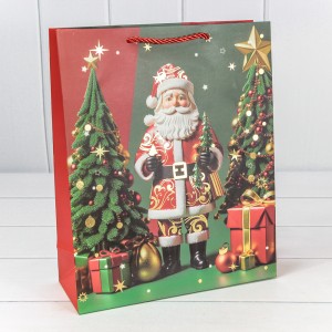 Пакет подарочный   