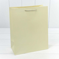 Пакет подарочный