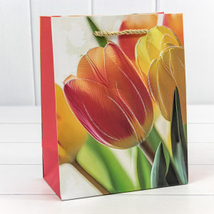 Пакет подарочный     