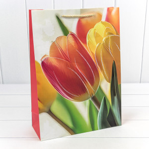 Пакет подарочный         