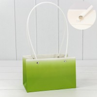 Пакет подарочный    