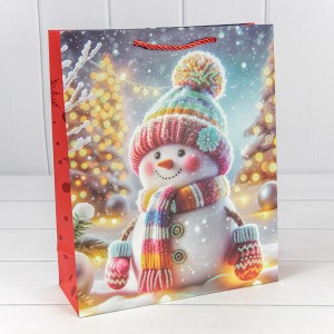 Пакет подарочный    